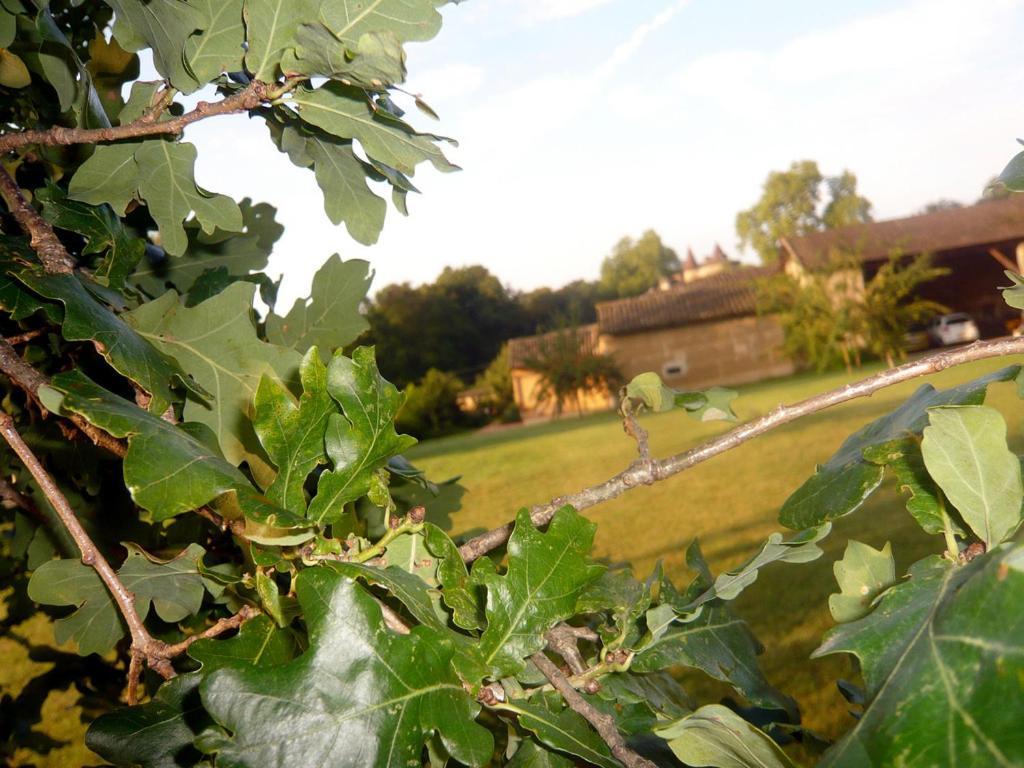 Bed & Breakfast - Maison De Marie Messimy-sur-Saone المظهر الخارجي الصورة