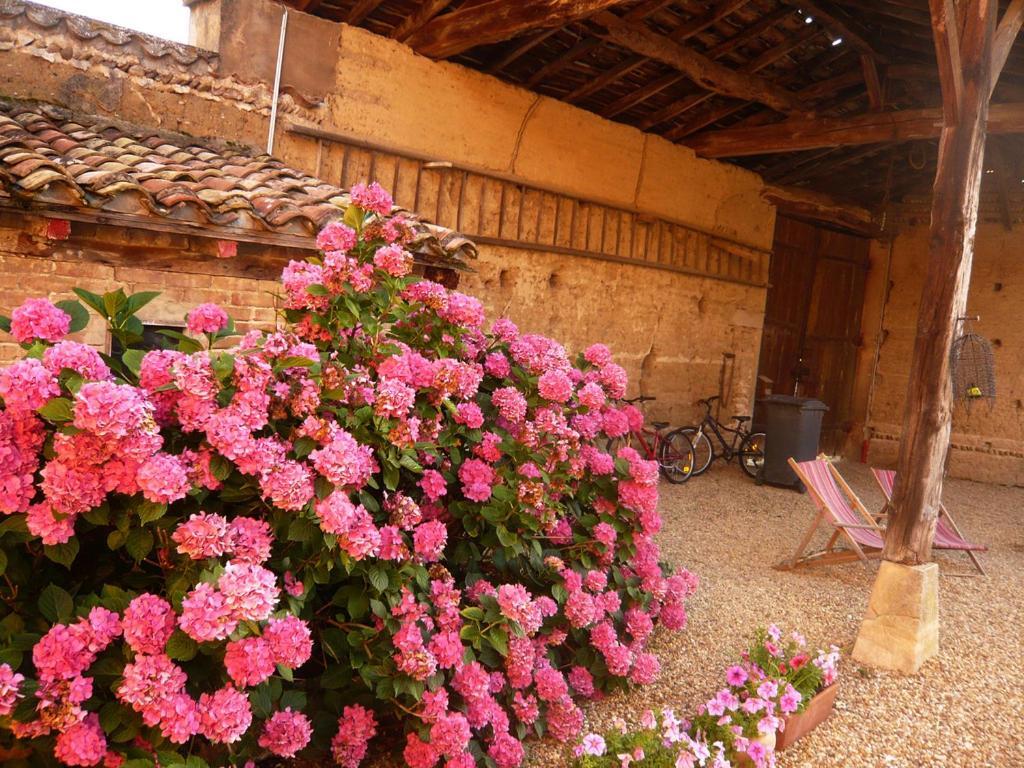Bed & Breakfast - Maison De Marie Messimy-sur-Saone المظهر الخارجي الصورة