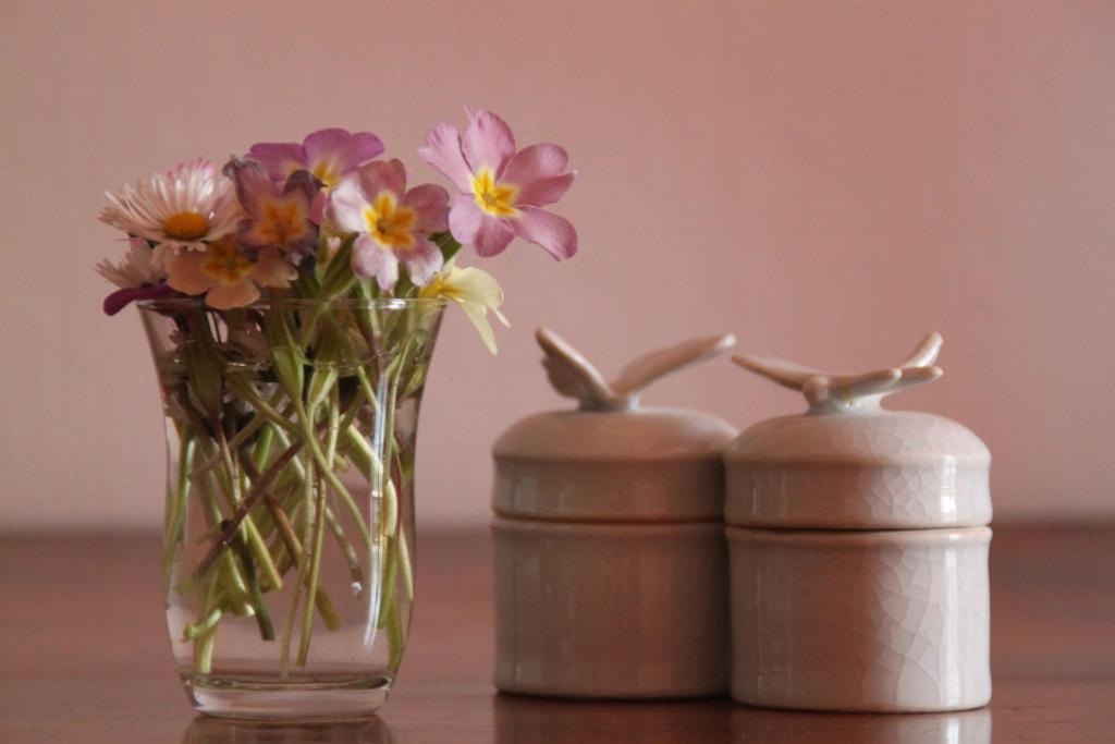 Bed & Breakfast - Maison De Marie Messimy-sur-Saone الغرفة الصورة